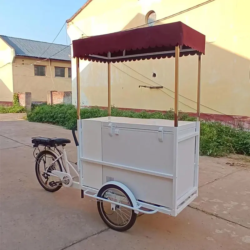 Classica bici da carretto per gelati a pedali